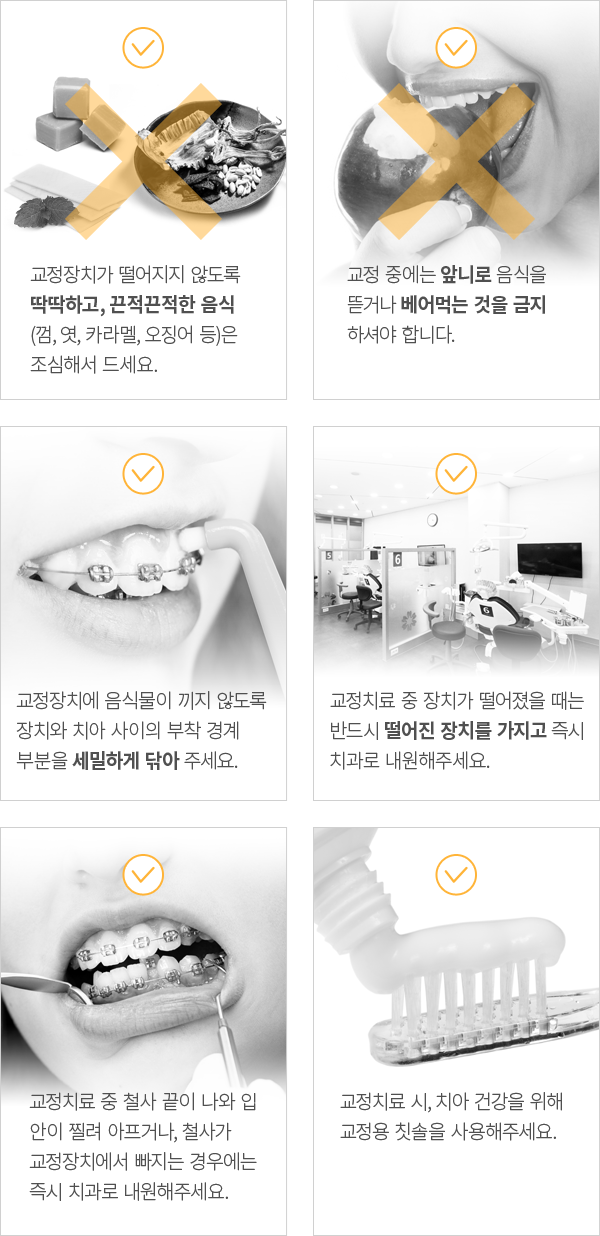 ���� �� ���ǻ���