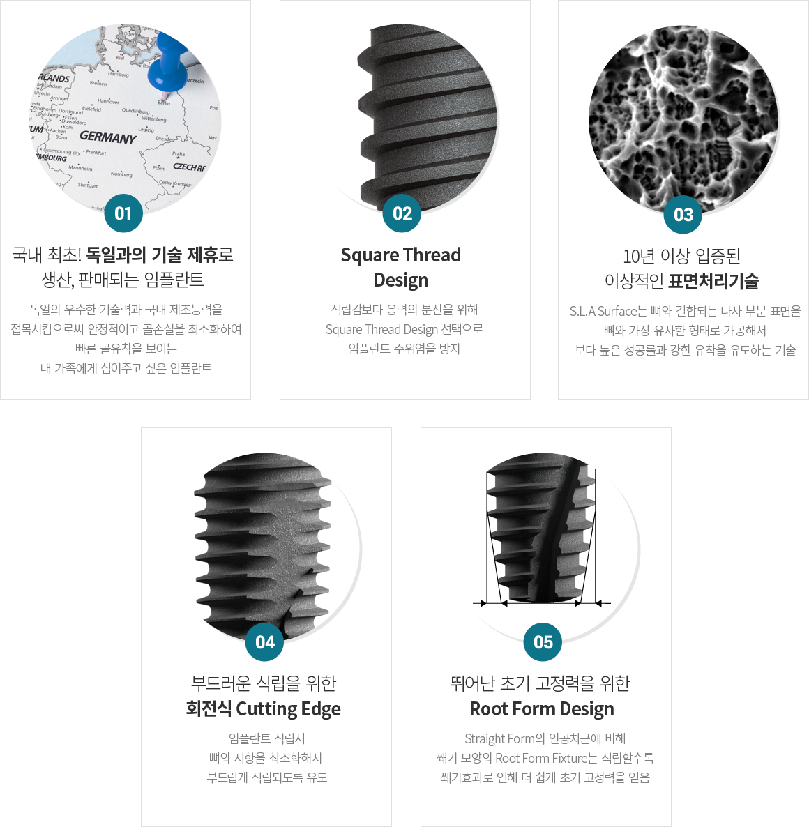 ������ ���ö�Ʈ Ư¡