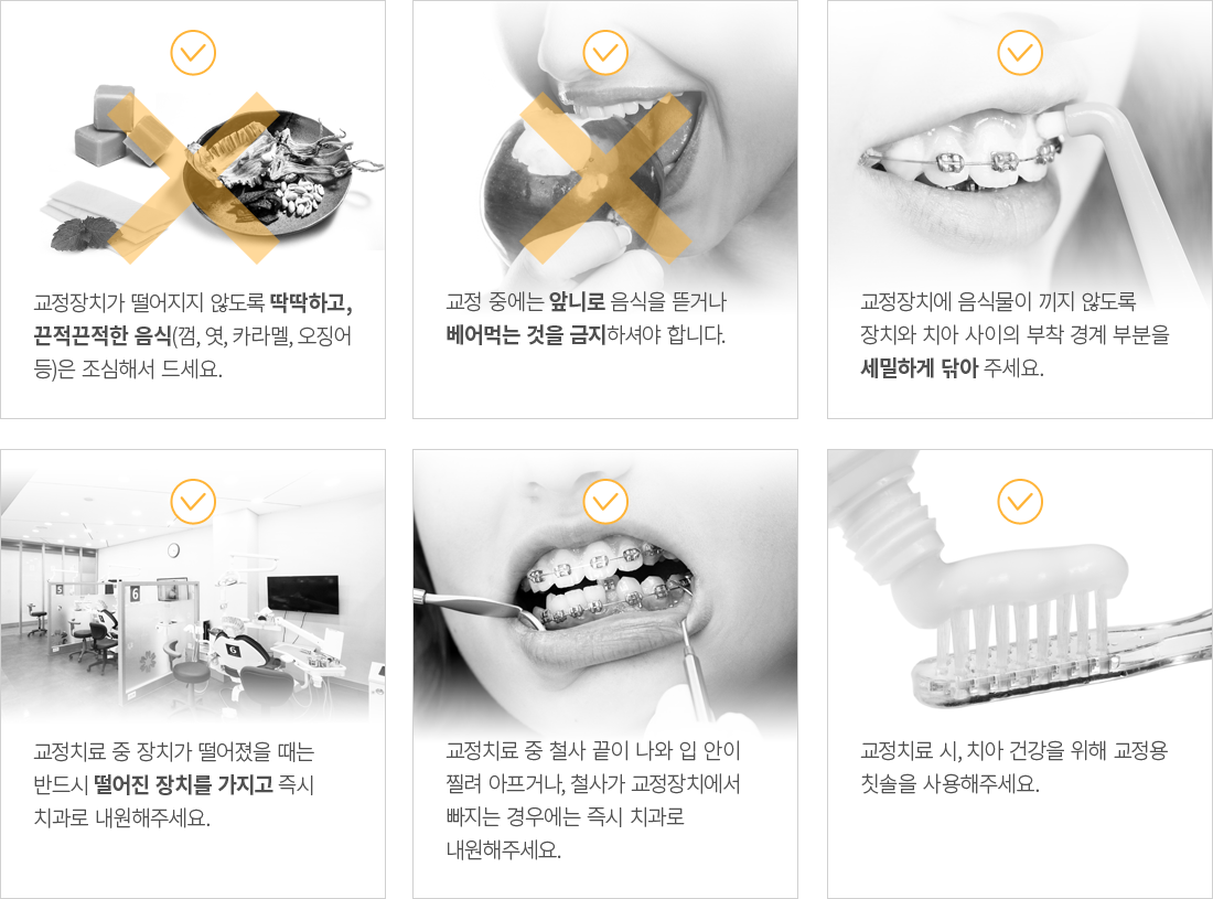 ���� �� ���ǻ���